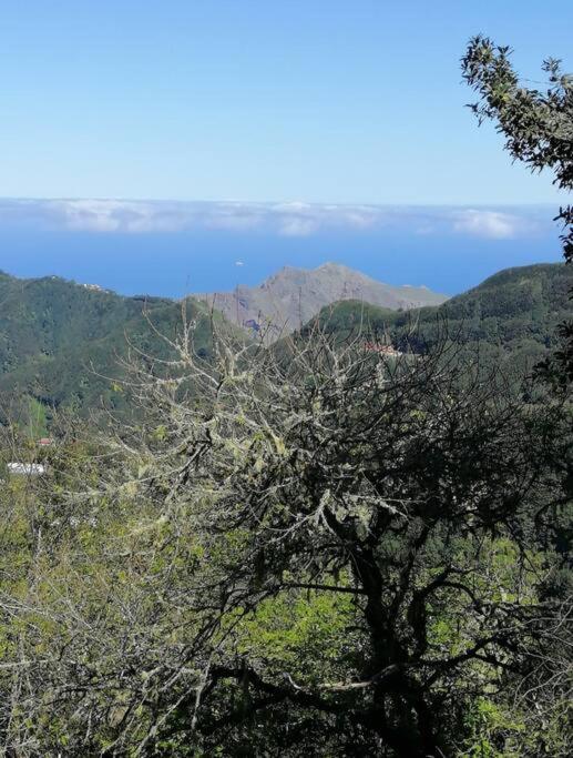 Monte Verde Chinamada Eksteriør billede
